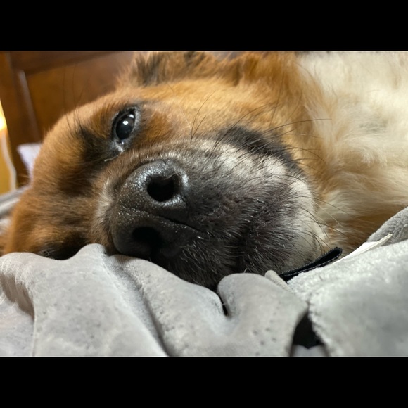 Meet your Posher, Emily - Picture 2 of 3